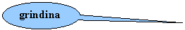 Oval Callout: grindina