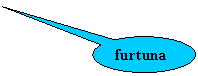 Oval Callout: furtuna