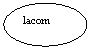 Oval: lacom