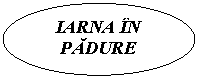Oval: IARNA IN PADURE