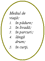 Oval: Mediul de viata:
1.	in padure;
2.	in livada;
3.	in parcuri;
4.	langa drum;
5.	in curti.
