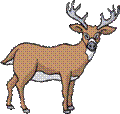 Free Pronghorn Antelope clip-art provided by Animal Clipart.