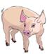 Clipart - Cochon - Cochons - Cliparts - Image