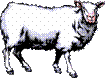 Clipart - Mouton - Moutons - Cliparts - Image