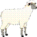 Artfavor Sheep Ewe Clipart