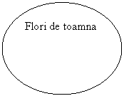 Oval: Flori de toamna
