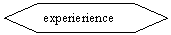 Flowchart: Preparation: experierience