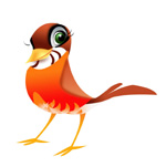 robin