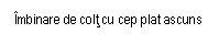 Text Box: Imbinare de colt cu cep plat ascuns