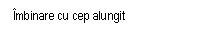 Text Box: Imbinare cu cep alungit

