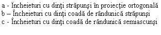 Text Box: a - Incheieturi cu dinti strapunsi in proiectie ortogonala
b - Incheieturi cu dinti coada de randunica strapunsi
c - Incheieturi cu dinti coada de randunica semiascunsi

