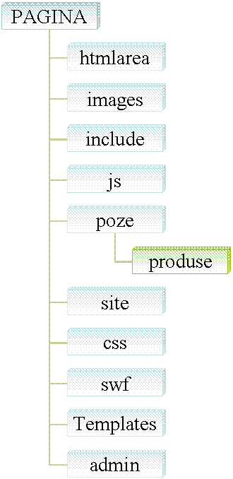 Organization Chart