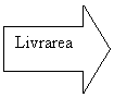 Right Arrow: Livrarea