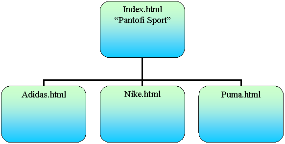 Organization Chart