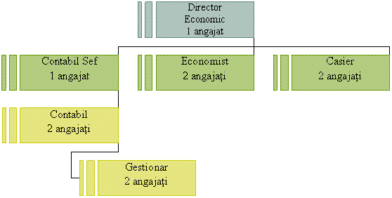 Organization Chart