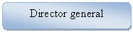 Rounded Rectangle: Director general