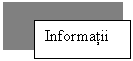 Text Box: Informatii