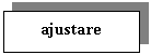 Text Box: ajustare