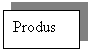 Text Box: Produs