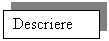 Text Box: Descriere