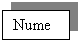 Text Box: Nume