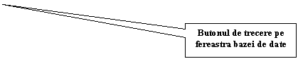 Rectangular Callout: Butonul de trecere pe fereastra bazei de date