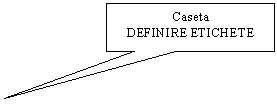 Rectangular Callout: Caseta 
DEFINIRE ETICHETE
