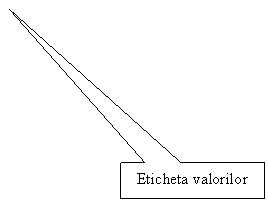 Rectangular Callout: Eticheta valorilor