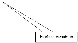 Rectangular Callout: Eticheta variabilei