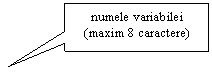 Rectangular Callout: numele variabilei
(maxim 8 caractere)
