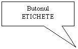 Rectangular Callout: Butonul 
ETICHETE
