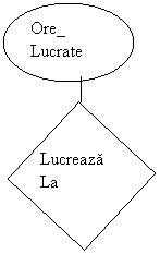 Text Box: Lucreaza La
