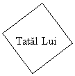 Text Box: Tatal Lui
