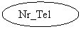 Oval: Nr_Tel