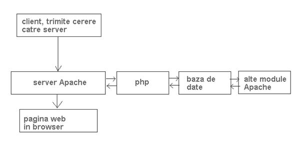 Schema Apache, PHP, MySQL