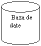 Can:    Baza de   
  date
