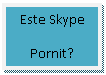 Text Box: Este Skype
Pornit?
