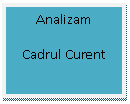 Text Box: Analizam
Cadrul Curent
