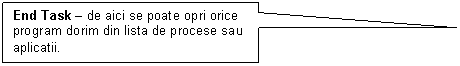 Rectangular Callout: End Task - de aici se poate opri orice program dorim din lista de procese sau aplicatii.