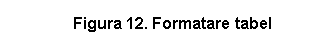 Text Box: Figura 12. Formatare tabel
