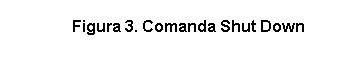 Text Box: Figura 3. Comanda Shut Down