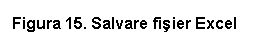 Text Box: Figura 15. Salvare fisier Excel