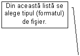 Line Callout 3: 	Din aceasta lista se alege tipul (formatul) de fisier.
