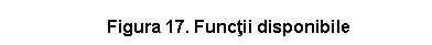 Text Box: Figura 17. Functii disponibile