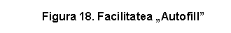 Text Box: Figura 18. Facilitatea 