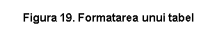 Text Box: Figura 19. Formatarea unui tabel