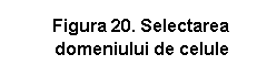 Text Box: Figura 20. Selectarea domeniului de celule