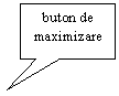 Rectangular Callout: buton de maximizare