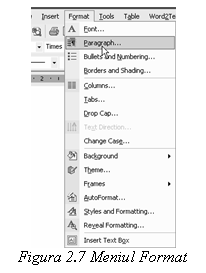 Text Box:  
Figura 2.7 Meniul Format
