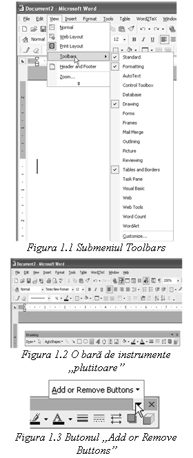 Text Box:  
Figura 1.1 Submeniul Toolbars

 
Figura 1.2 O bara de instrumente 